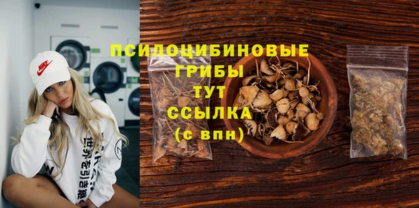 синтетический гашиш Пролетарск