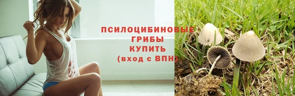 мдпв Приозерск